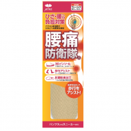 Actika Pain relief insole No.246 (Women)