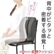 Alphax 3D Doctor Back Support Cushion AP-620006