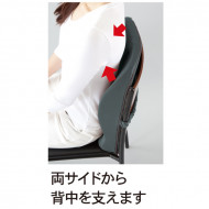 Alphax 3D Doctor Back Support Cushion AP-620006