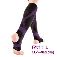 日本制 Alphax医疗级保健支撑袜 (大码)  | 压力袜 | 2枚入 | 男女通用 | 【日本制】