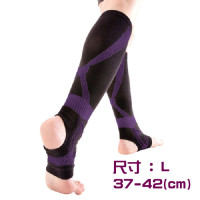 日本制 Alphax醫療級保健支撐襪 (大碼)  | 壓力襪 | 2枚入 | 男女通用 | 【日本制】