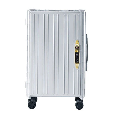 LaserPecker FREETRIP Foldable Suitcase - Silver