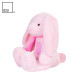 O2U Air Family Air Purifying Plush - Pink Rabbit