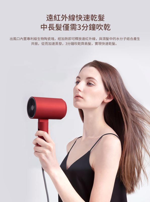 lowra rouge hair dryer
